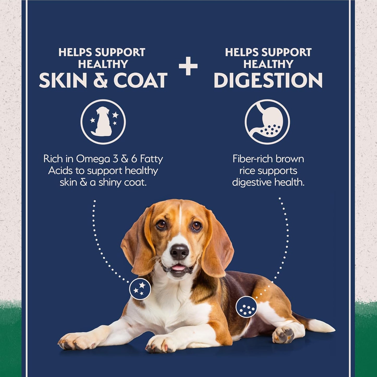 Limited Ingredient Adult Dry Dog Food with Healthy Grains, Lamb & Brown Rice Recipe, 24 Pound (Pack of 1)