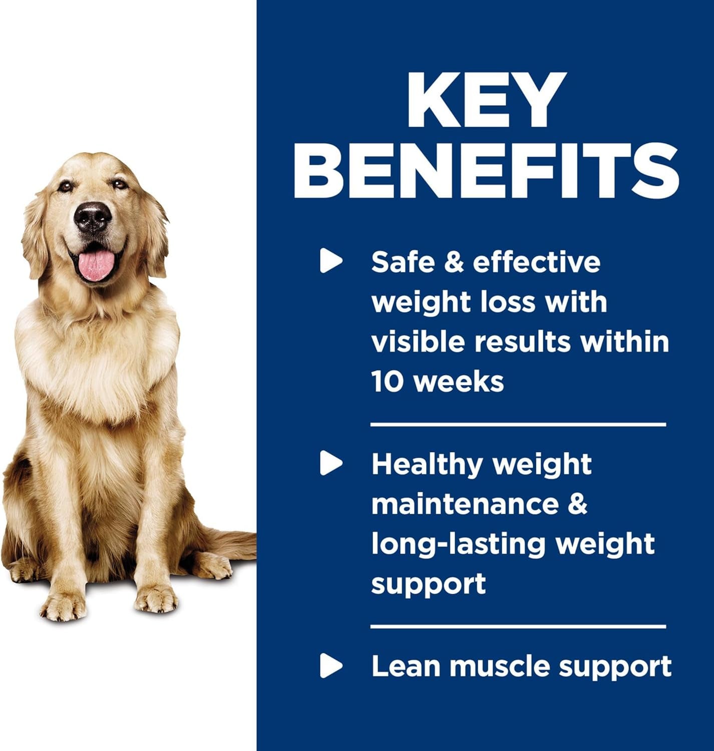 Perfect Weight, Adult 1-6, Weight Management Support, Wet Dog Food, Chicken & Vegetables Stew, 12.5 Oz Can, Case of 12