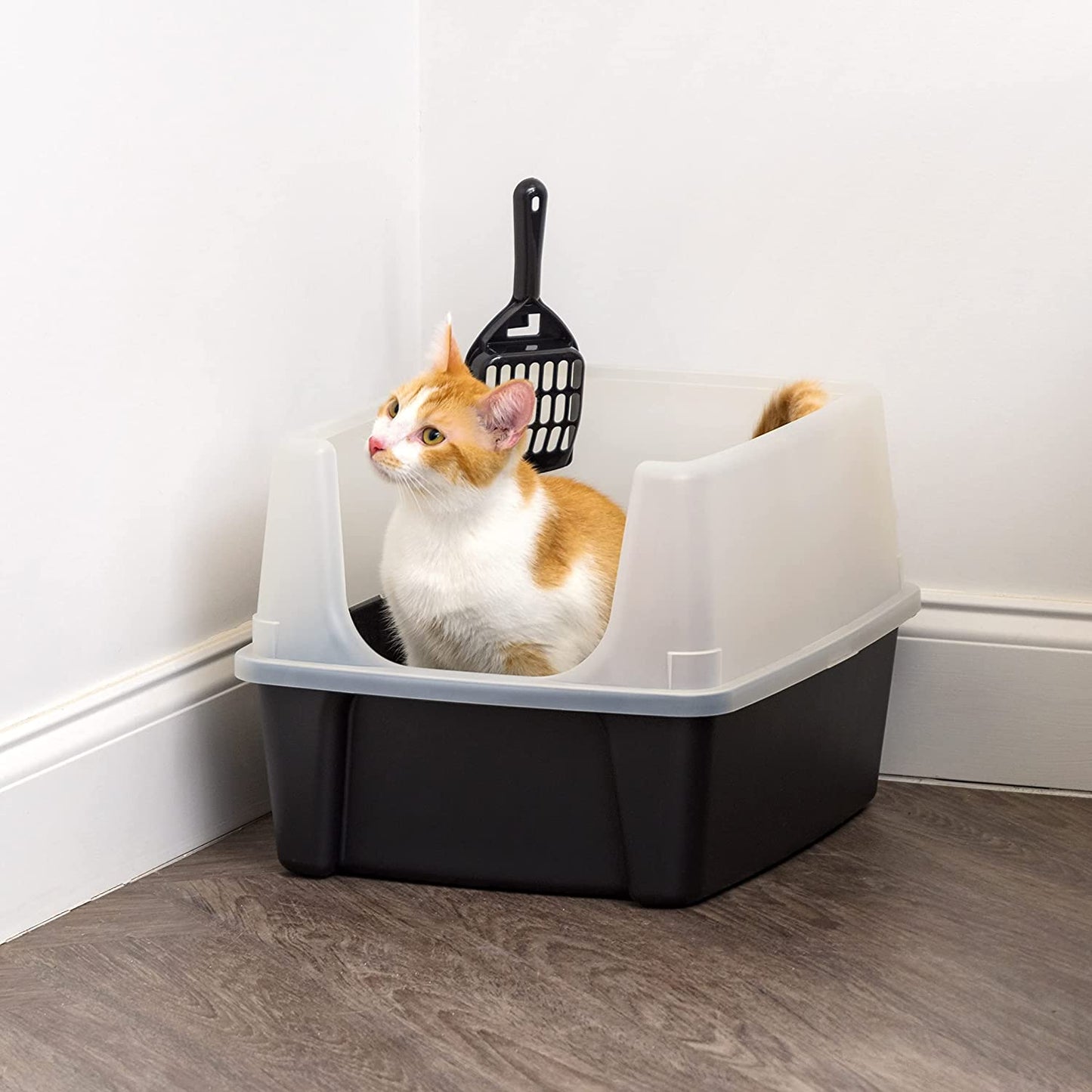 USA Large Open Top Cat Litter Box with High Sides, Scatter Shield & Scoop, Black - Easy Clean Plastic Litter Pan for Indoor Cats, Kittens or Multicat Homes