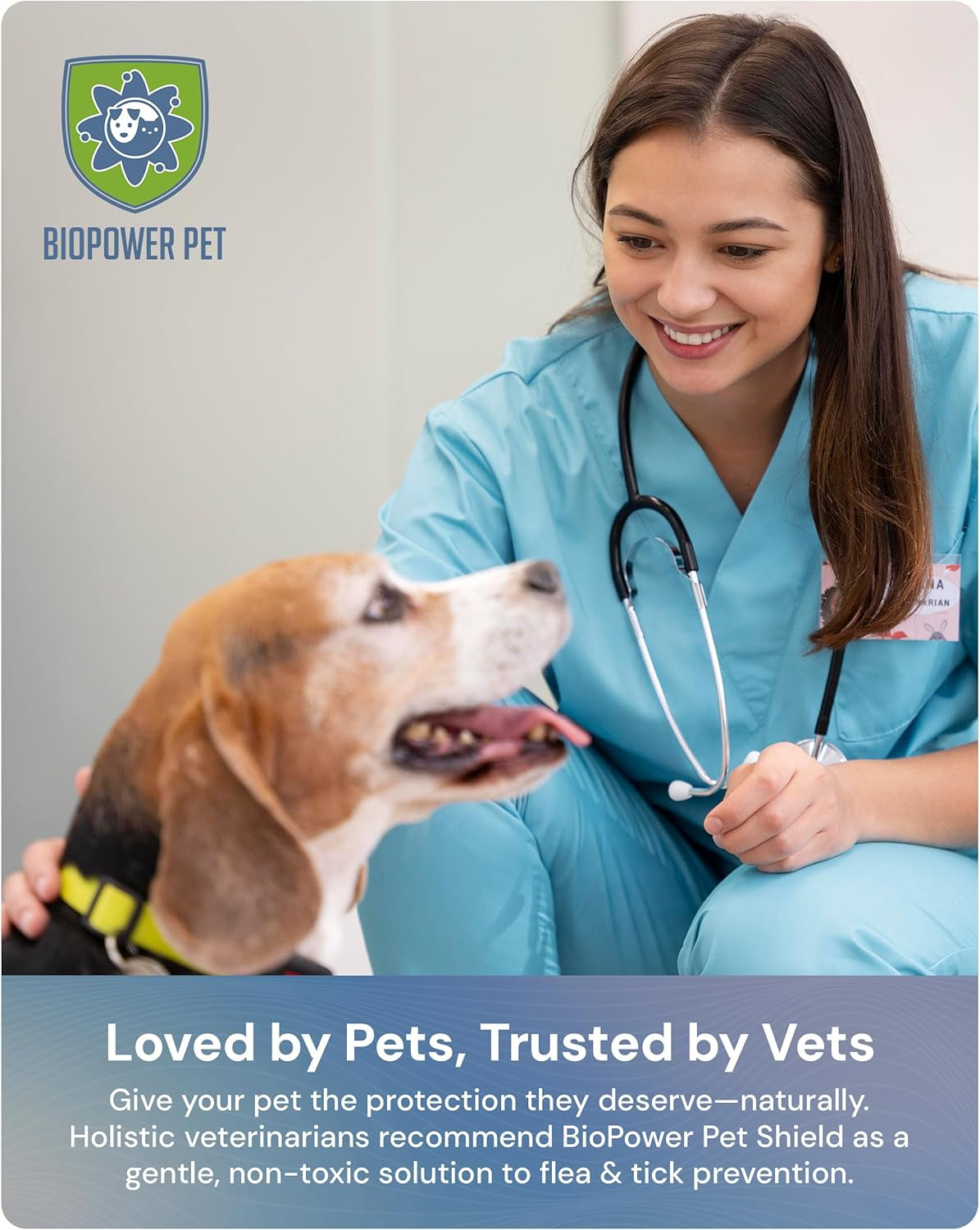 Natural Flea & Tick Repellent Collar Tag for Dogs & Cats –  Shield – Safe for Pets When Used as Directed – Lasts 1 Full Year (1Pack)