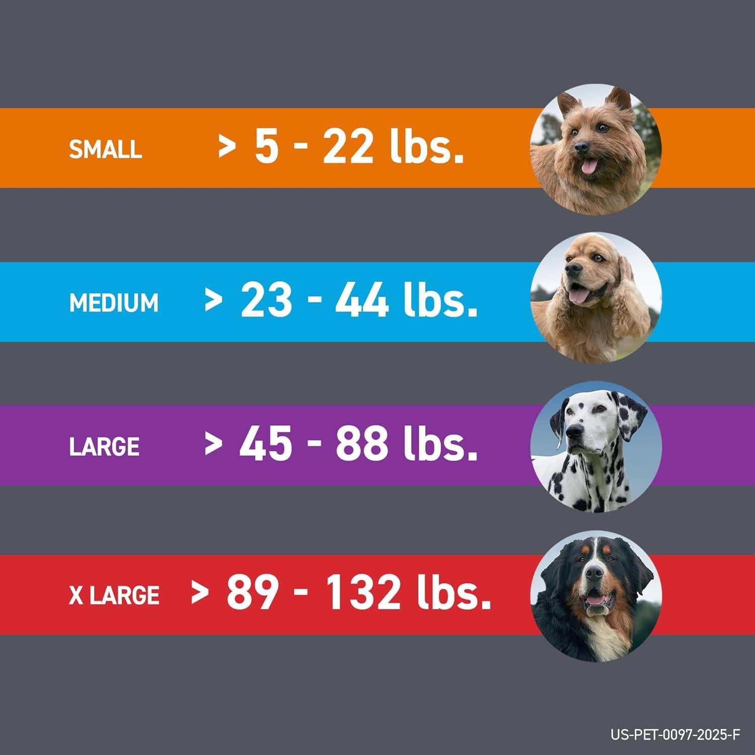 plus for Dogs Medium Dog (23-44 Pounds) Flea and Tick Treatment, 6 Doses