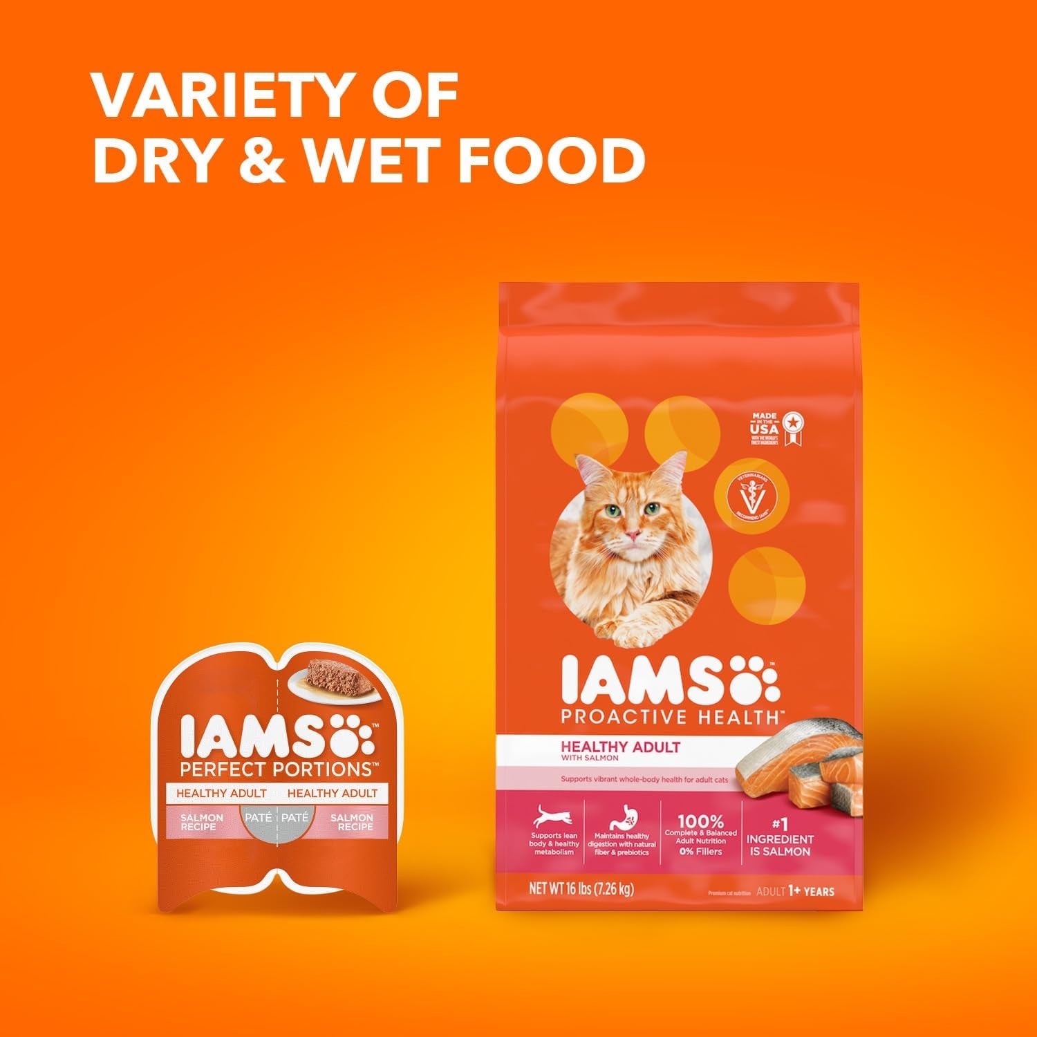 Proactive Health Adult Healthy Dry Cat Food with Real Salmon, 16 Lb. Bag