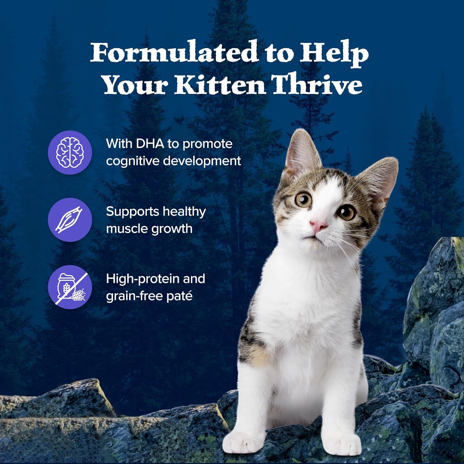 Wilderness Kitten Food, High-Protein & Grain-Free Wet Cat Food Paté Variety Pack, Chicken & Salmon Recipes, 3-Oz Cans (6 Count, 3 of Each)