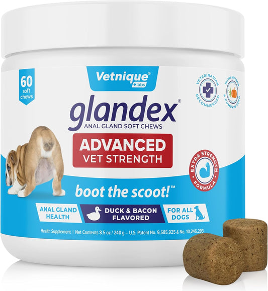 Glandex Anal Gland Soft Chew Treats with Pumpkin for Dogs Digestive Enzymes, Probiotics Fiber Supplement for Dogs Boot the Scoot (Advanced Strength Duck/Bacon Chews (Vegetarian), 60 Ct)