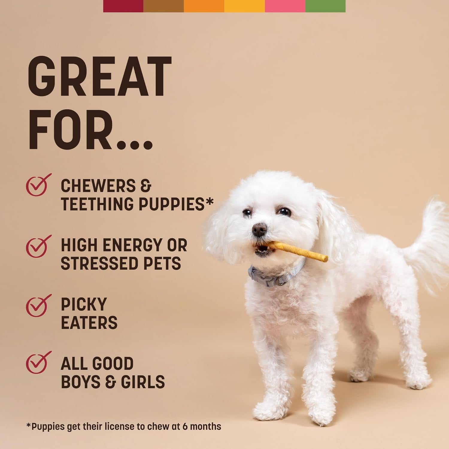 No Hide Stix - Long Lasting Rawhide Free Small Dog Chews Sticks, Beef - 20 Count Value Pack