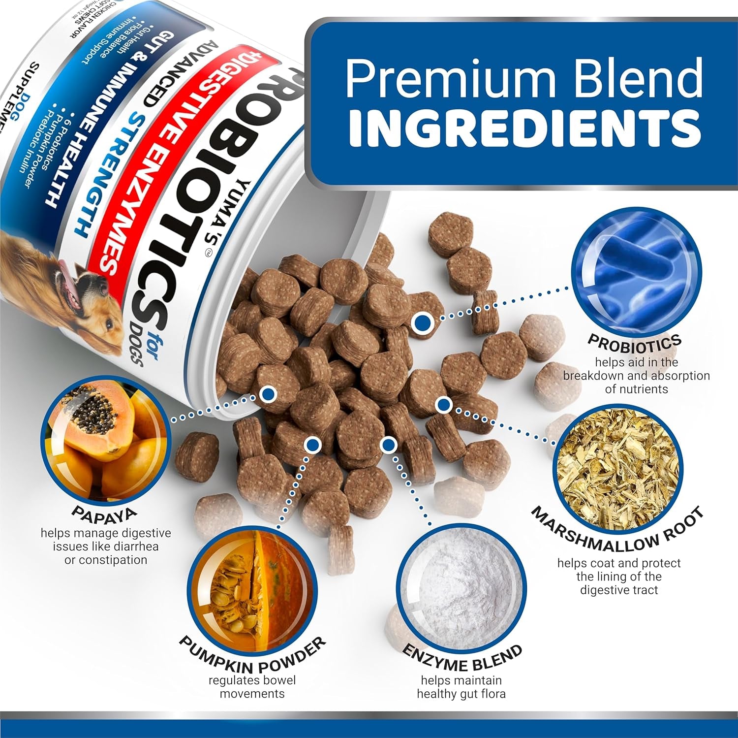 Probiotics for Dogs and Digestive Enzymes - 170 Dog Probiotics Chews - Dog Probiotic - anti Diarrhea, Upset Stomach & Gas Relief, Constipation, Canine Prebiotic - Pet Fiber Supplement - Gut Health