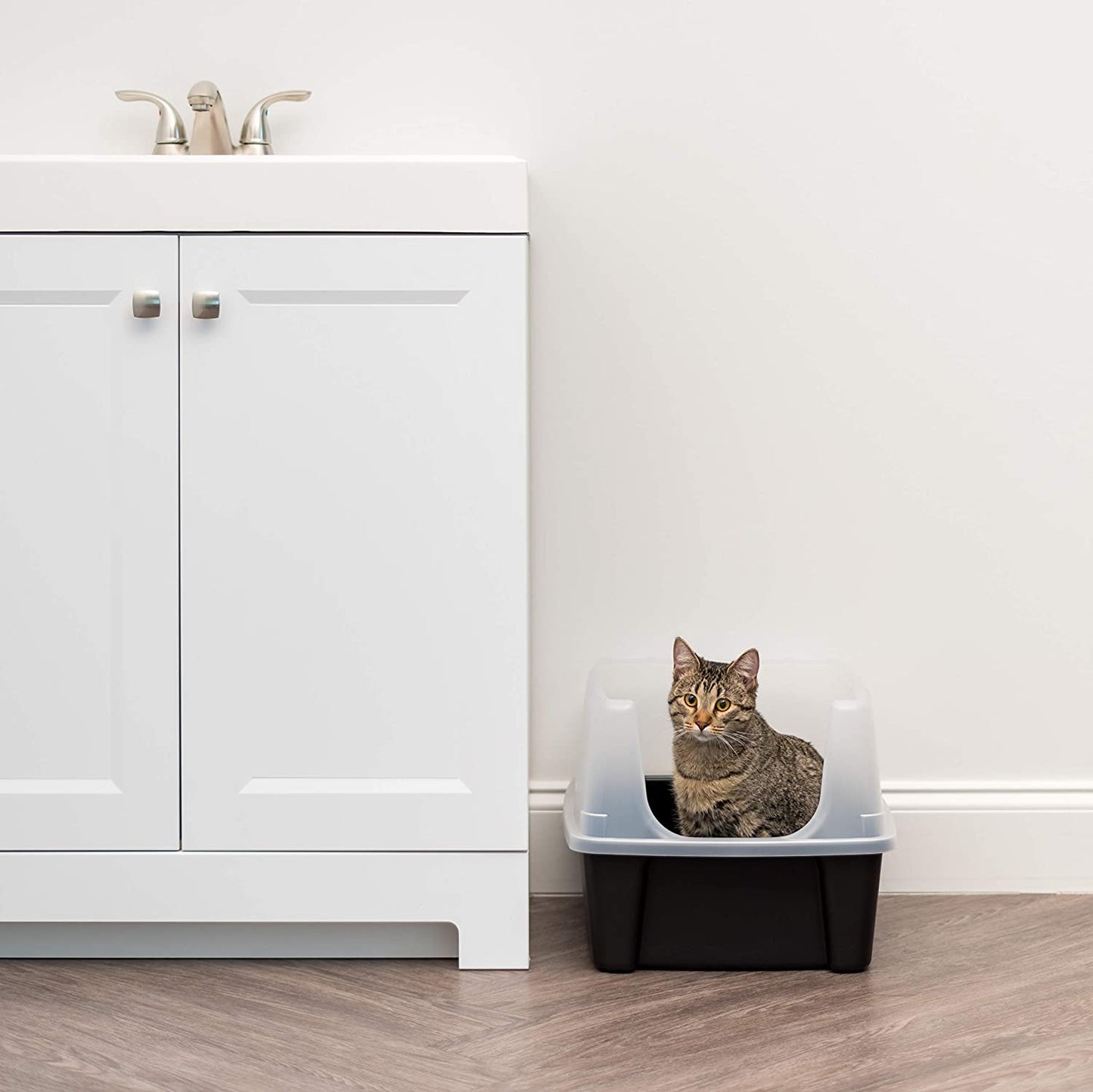 USA Large Open Top Cat Litter Box with High Sides, Scatter Shield & Scoop, Black - Easy Clean Plastic Litter Pan for Indoor Cats, Kittens or Multicat Homes