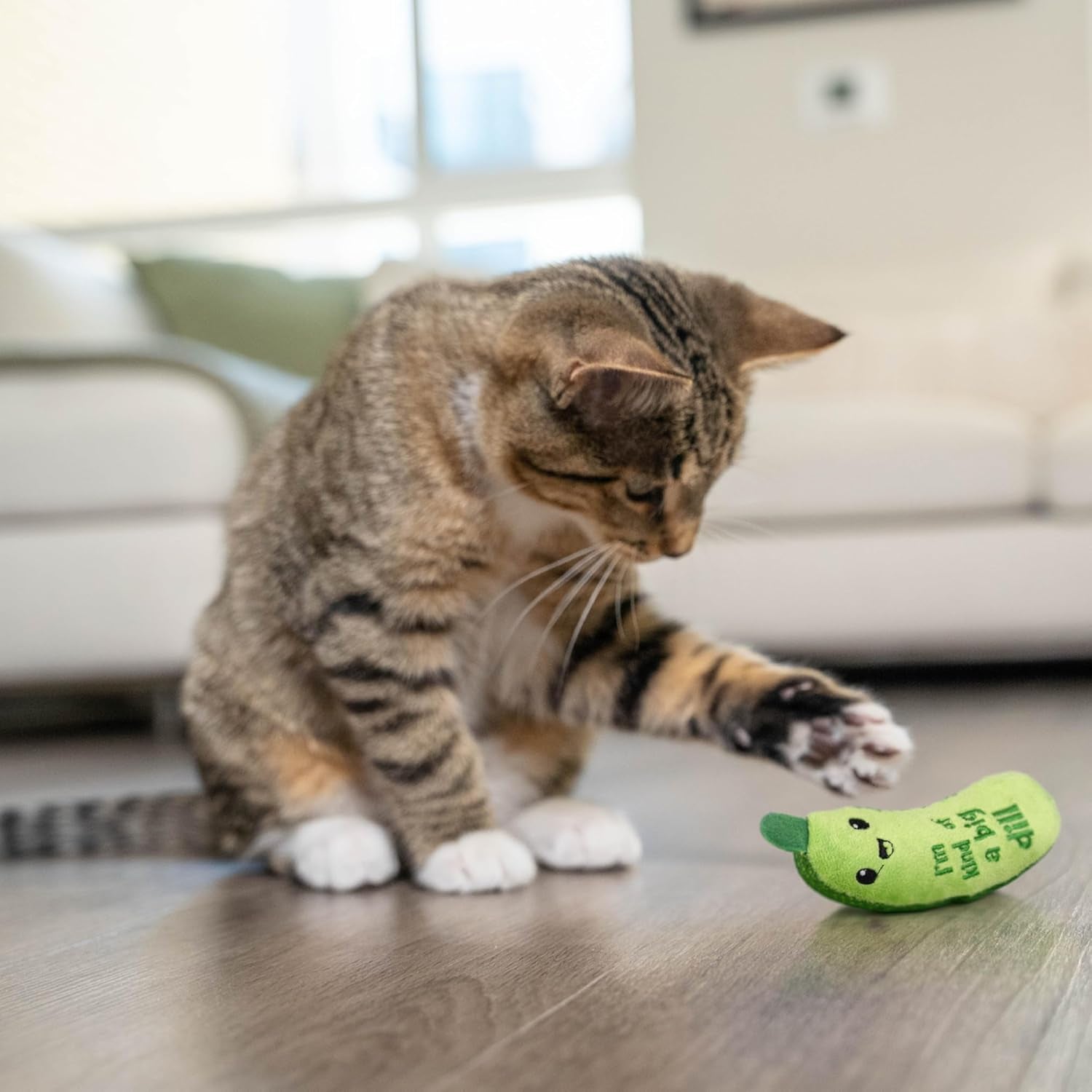 Crunchy Pickle Kicker Toy with Catnip and Dental Mesh, Pickle Shape, Plush and Crinkle Cat Toy for Kicking, Tossing, and Teeth Cleaning, Green