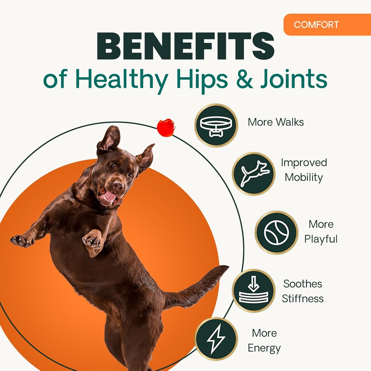 Extra Strength Healthy Hip & Joint Chewable Tablets, Glycoflex Glucosamine and Green-Lipped Mussel Joint Support Supplement for Dogs, Soothe Joint Discomfort, Chicken, 120 Count