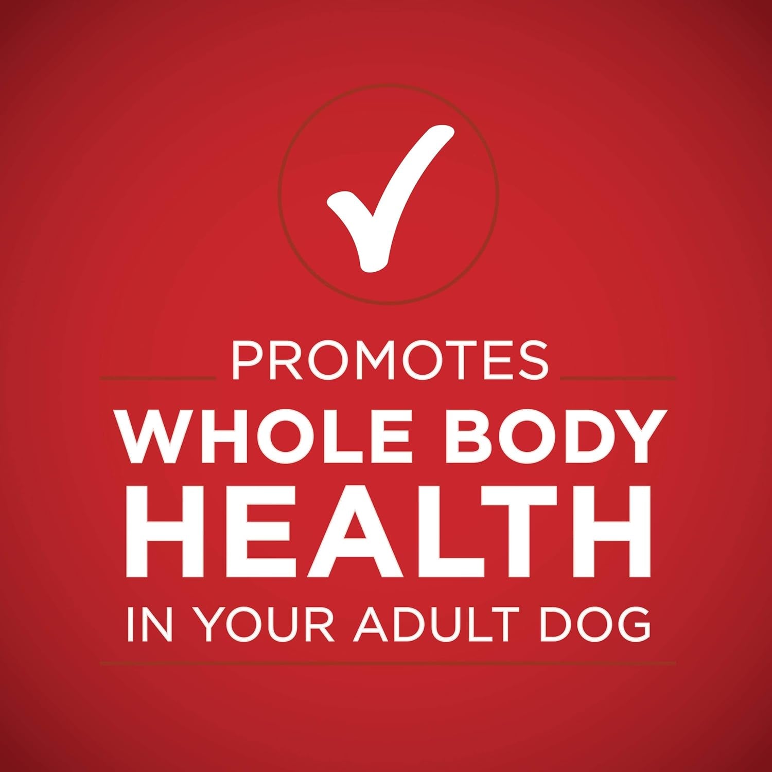 Tender Cuts in Gravy Chicken and Brown Rice, and Beef and Barley Entrees Wet Dog Food Variety Pack - (2 Packs of 6) 13 Oz. Cans