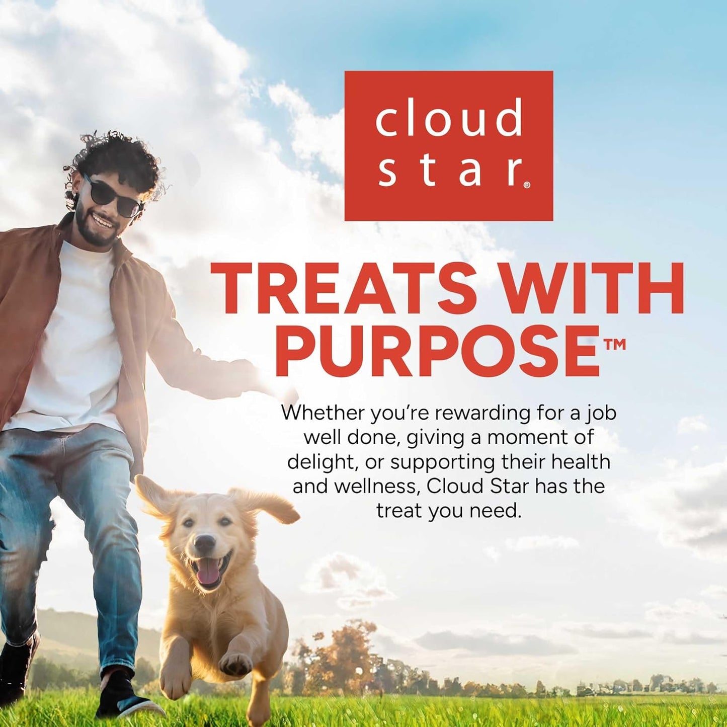 14 Oz. Box of Grain-Free Crunchy Dog Treats Made with Natural Peanut Butter