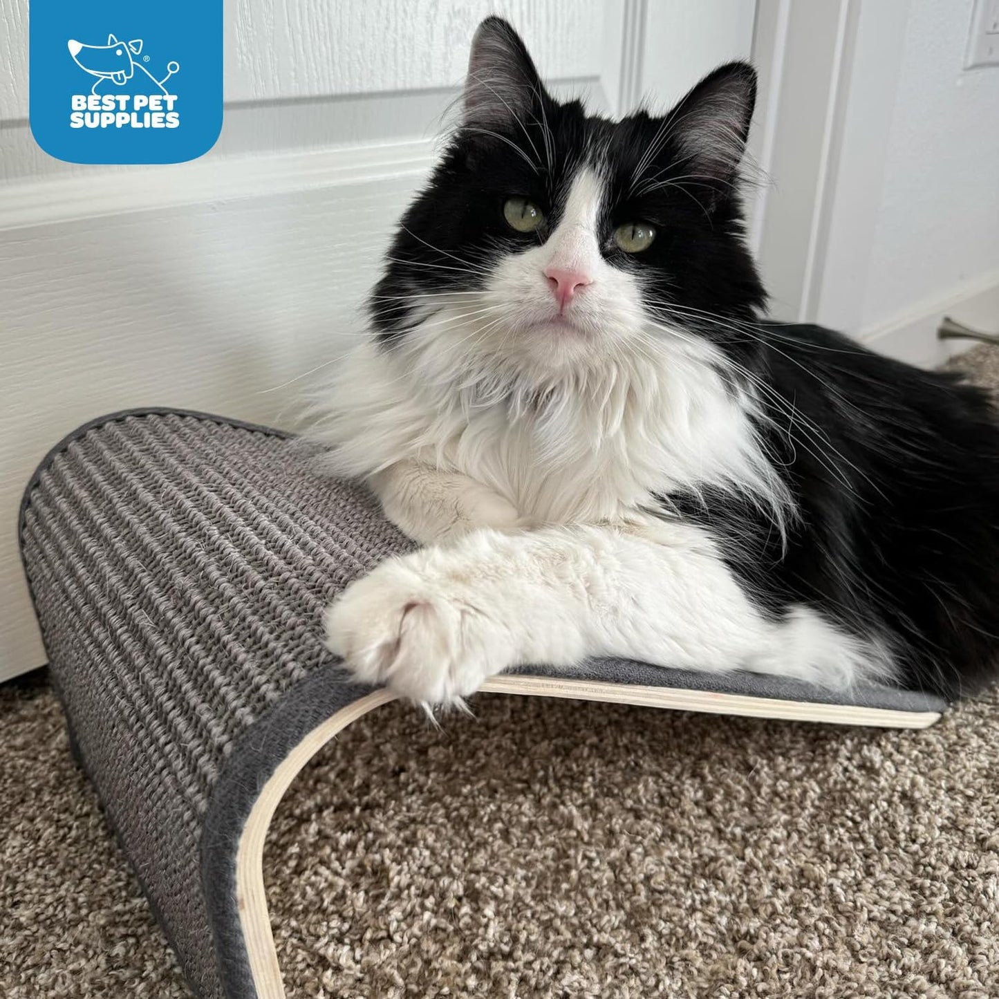 Catify Sloped Sisal Cat Scratchers for Indoor Cats, Climbing Ramp Fun and Interactive Indoor Play, Supports Natural Pet Behaviors, Heavy Duty - Gray