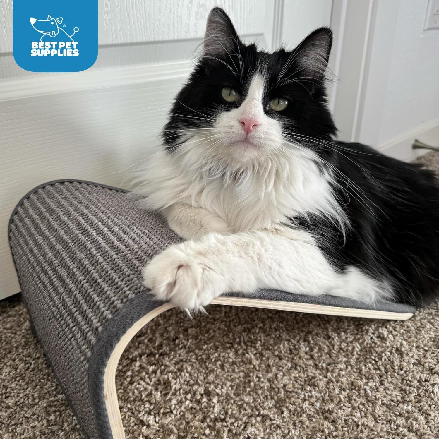 Catify Sloped Sisal Cat Scratchers for Indoor Cats, Climbing Ramp Fun and Interactive Indoor Play, Supports Natural Pet Behaviors, Heavy Duty - Gray
