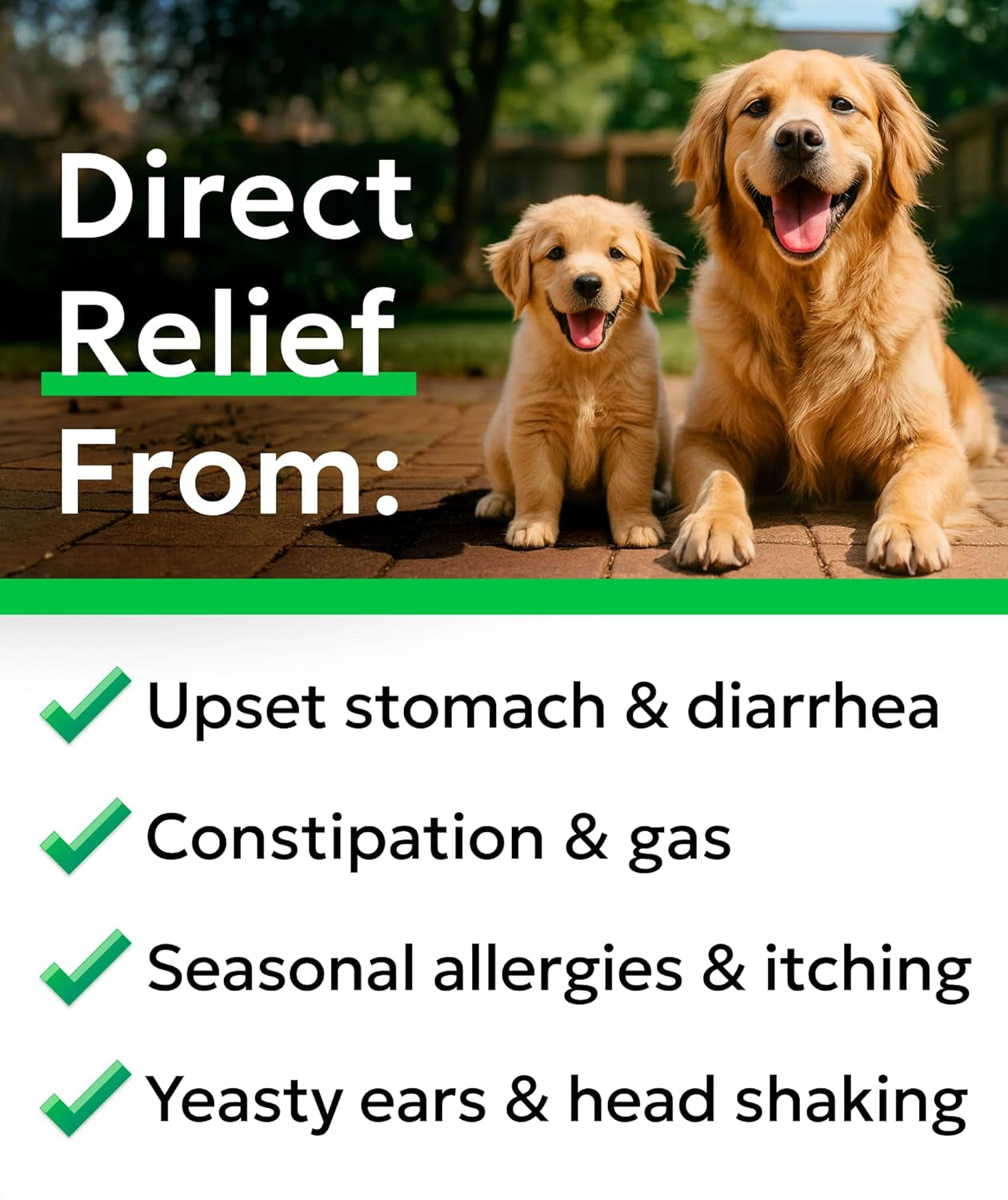 Probiotics for Dogs Digestive Health W/Enzymes - Diarrhea Gas Treatment Upset Stomach Relief - Allergy & Itchy Skin - Pet Dogs Probiotics - Digestion Supplement Treat (120Ct Chicken)