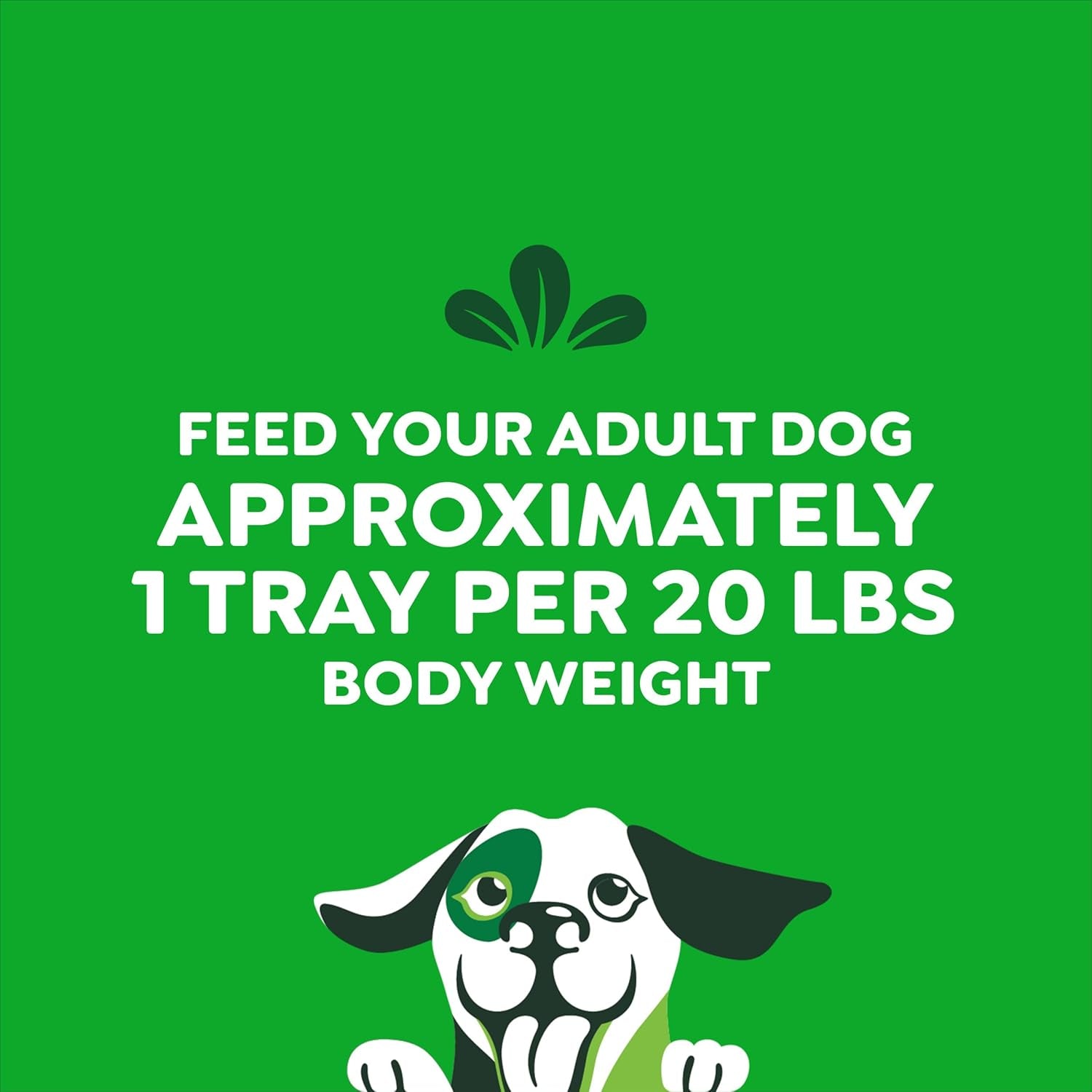 Smart Topper High Protein Wet Mix-In for Dogs, Chicken, Peas, Apples, and Brown Rice Recipe & Duck, Broccoli, Carrots and Barley Recipe Variety Pack with Whole Grains, 8 Trays of 2Oz.