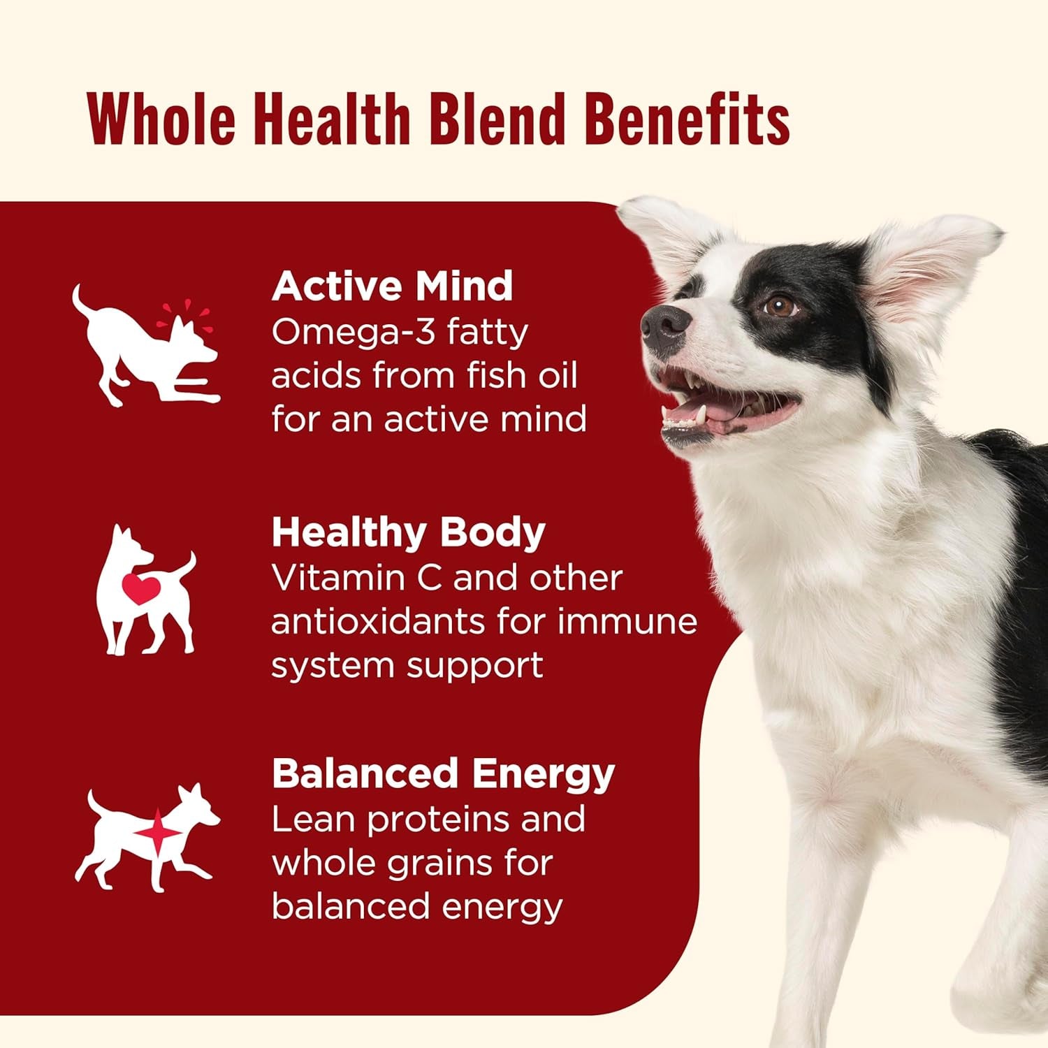 Dry Dog Food, Real Beef, Pea & Brown Rice Recipe Whole Health Blend for Adult Dogs, 6 Lb. Bag (Rachael Ray)