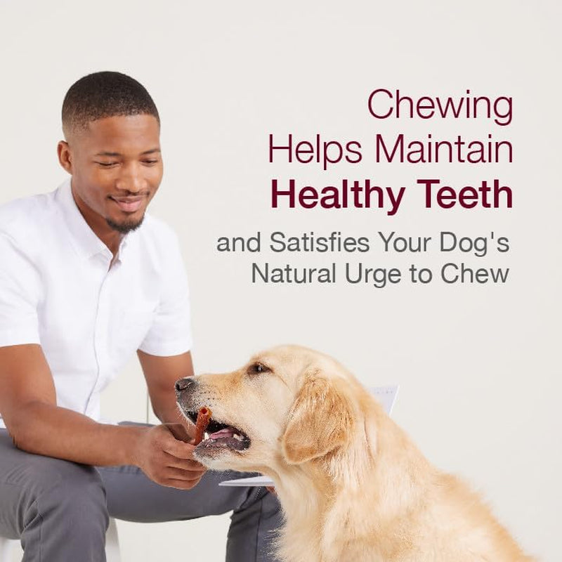 Smart Twist Sticks, Rawhide Free Dog Chew Sticks, Made with Real Chicken, 50 Sticks , 9.7 Ounce (Pack of 1)