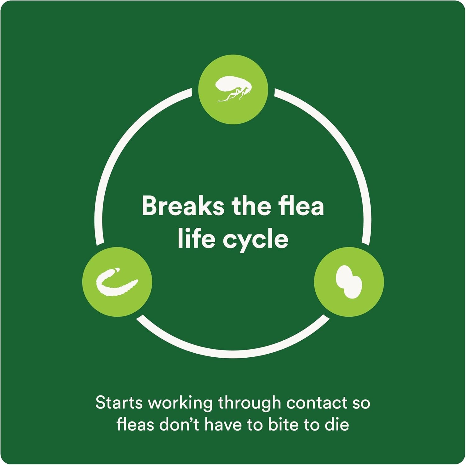 plus Topical Large Cat Flea Treatment for Cats and Kittens, Flea Prevention and Control, Fast-Acting Waterproof Drops, 6-Month Supply