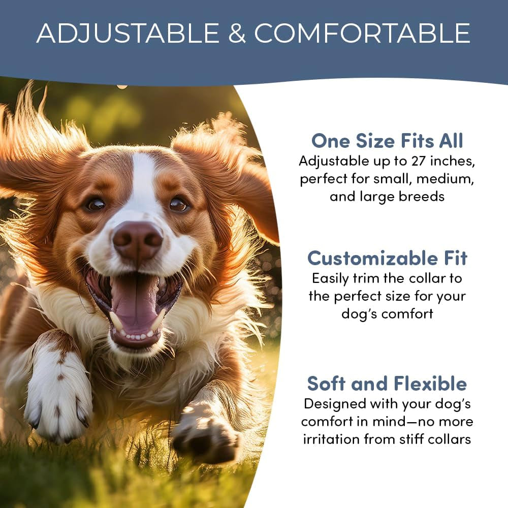 Natural Flea & Tick Collar for Dogs & Cats – 8 Months Protection – Essential Oils, Waterproof, Adjustable up to 27” – Chemical-Free, Safe for Puppies, Kittens & Sensitive Pets