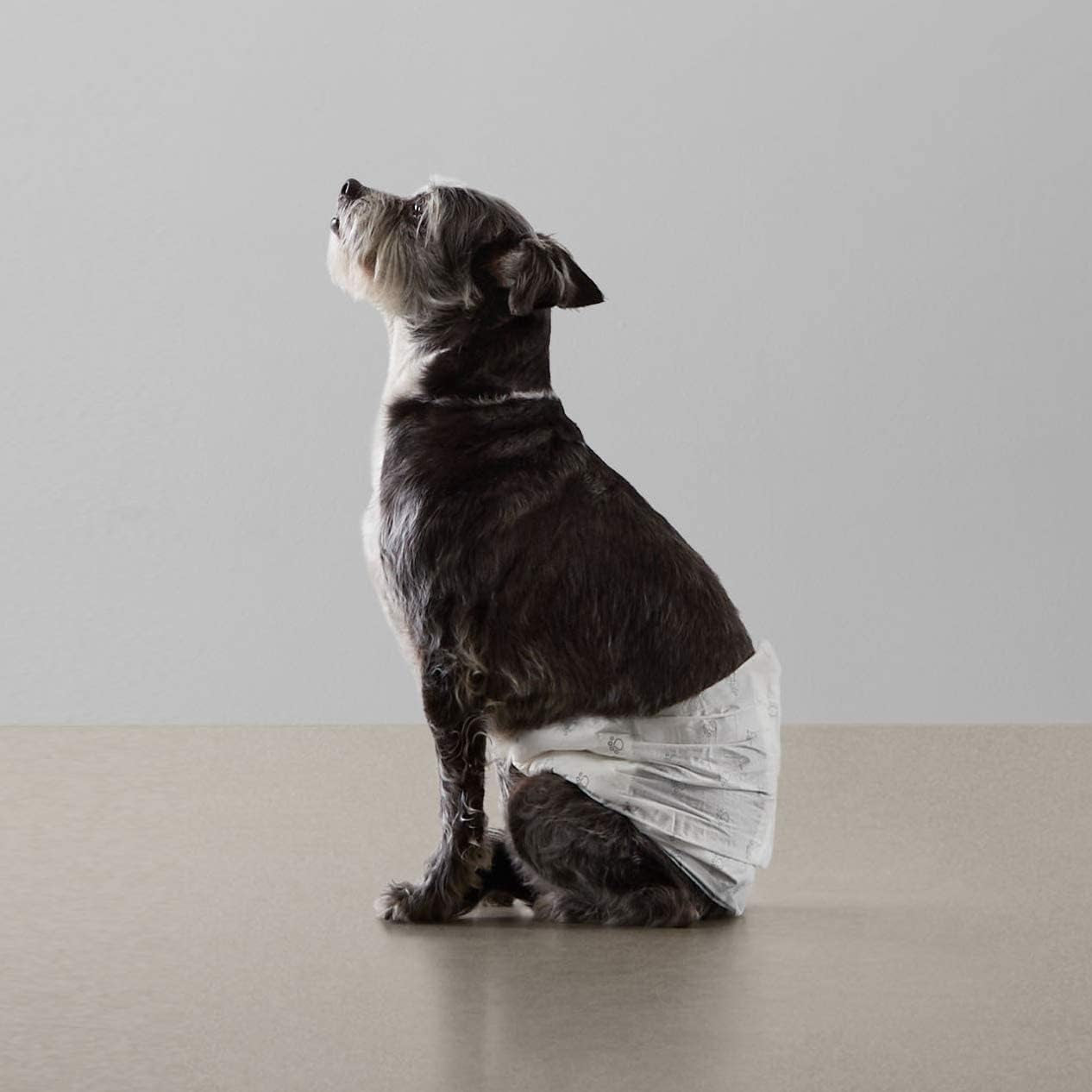 Absorbent, Leakproof Male Dog Wrap Disposable Diapers, Small, Pack of 50, White