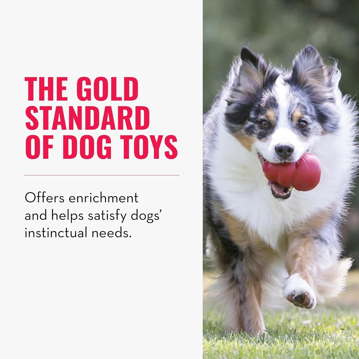 Classic Stuffable Dog Toy - Fetch & Chew Toy for Dogs - Treat-Filling Capabilities & Erratic Bounce for Extended Play Time - Durable Natural Rubber Material - for Large Dogs