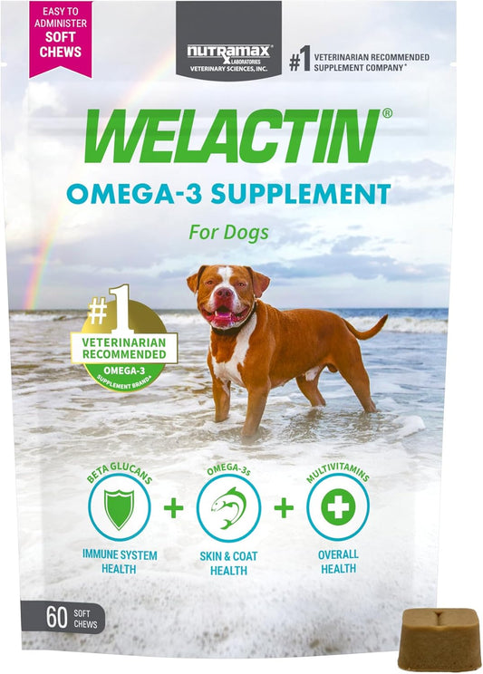 Nutramax Welactin Omega 3 Fish Oil for Dogs, Skin and Coat Health Supplement, plus Immune and Overall Health, Premium Omega 3 Fatty Acids, Multivitamin for Dogs, Soft Chews, 60 Count