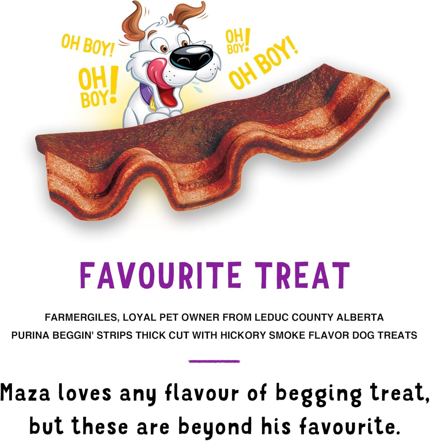 Strips Real Meat Dog Treats, Thick Cut Hickory Smoke Flavor - (Pack of 2) 26 Oz. Pouches