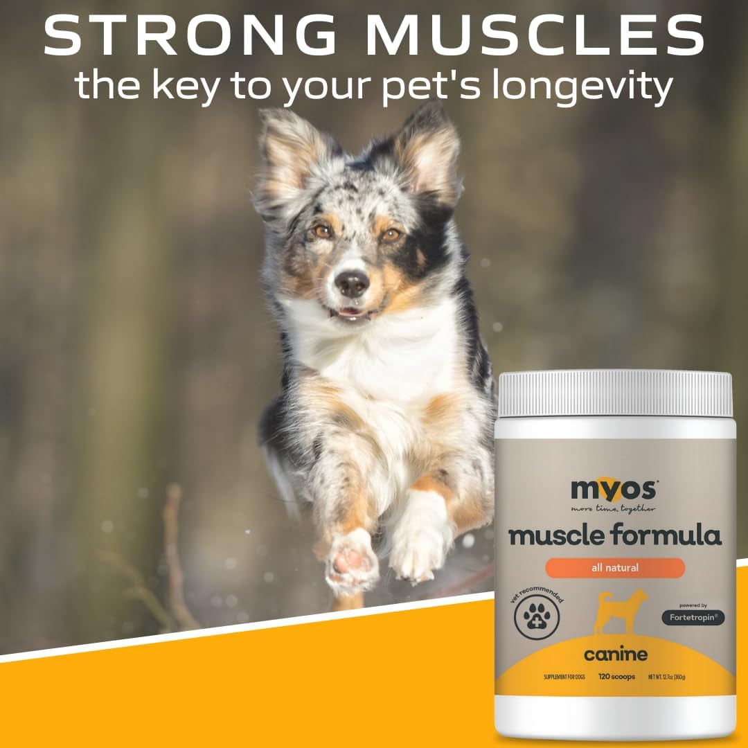- All-Natural Muscle Building Supplement - Helps Reduce Muscle Loss in Dogs Due to Normal Aging and Improves Recovery from Injury or Surgery