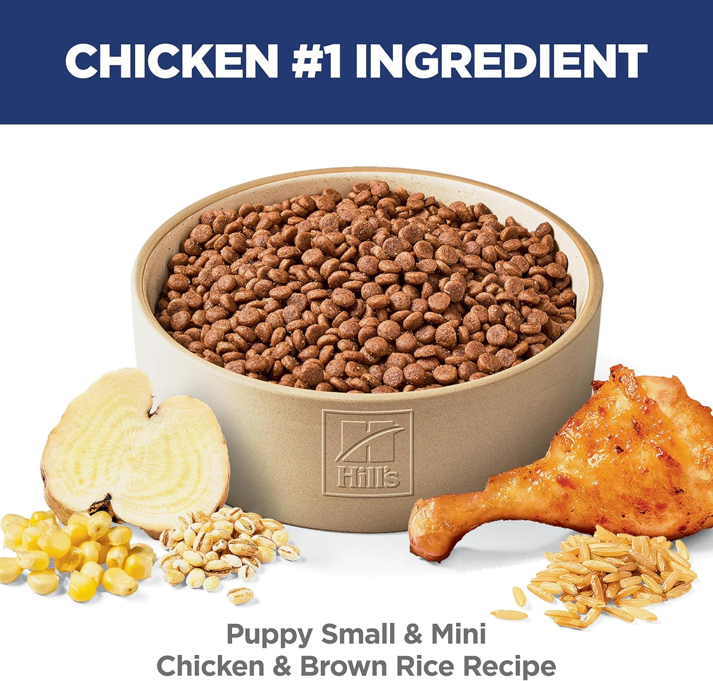 Small & Mini Chicken Meal & Brown Rice Recipe Dry Dog Food 4.5 Lbs.