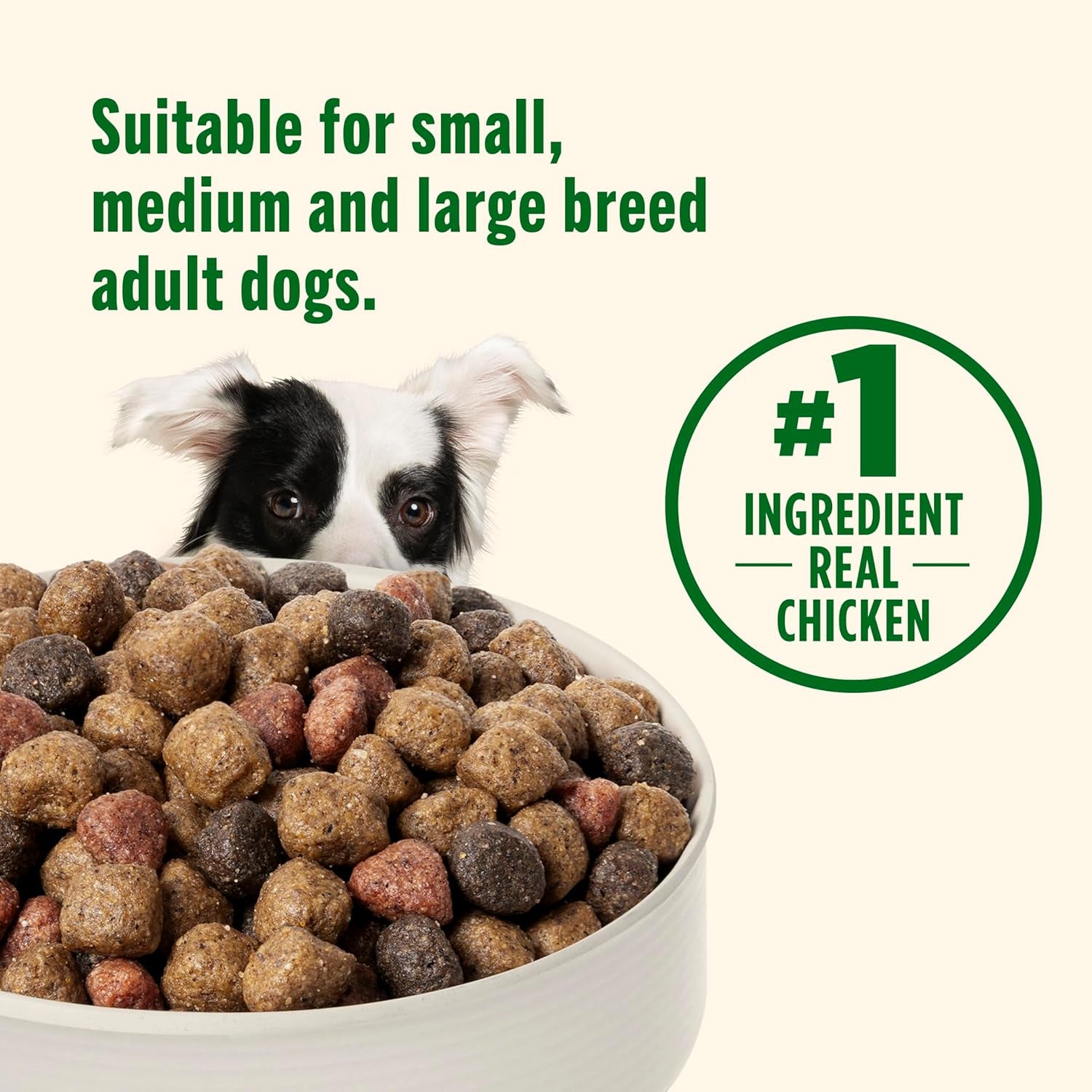 Dry Dog Food, Real Chicken & Veggies Recipe Whole Health Blend for Adult Dogs, 40 Lb. Bag, Packaging May Vary (Formerly Rachael Ray)