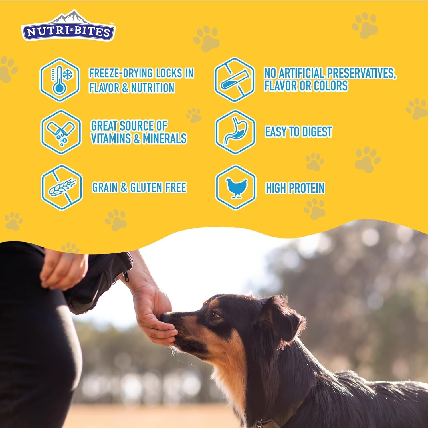 Freeze Dried Chicken Dog & Cat Treats | Healthy Pet Training Treats or Food Topper | All Natural, 1 Single Animal Protein, High Protein | Premium Bulk Value Pack, 15 Oz