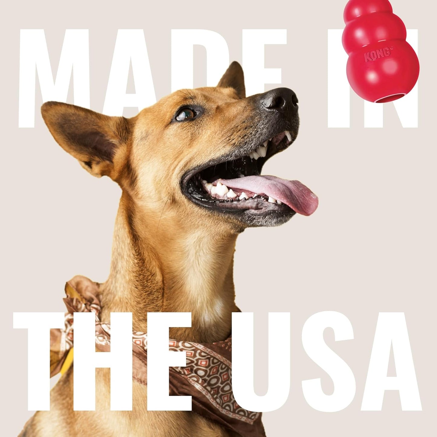 Ring - Natural Rubber Ring Toy for Healthy Chewing Habits - Chew Toy Supports Dog Dental Health - Dog Toy Supports Instincts during Playtime - for Small/Medium Dogs
