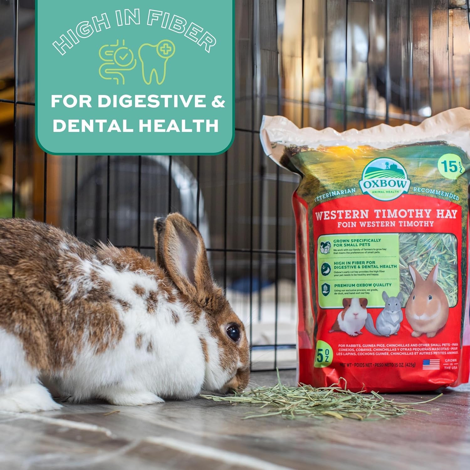 Western Timothy Hay for Small Pets – All-Natural Grass Hay for Rabbits, Guinea Pigs, and Chinchillas – High Fiber for Digestive Health and Dental Support – 40 Oz Bag