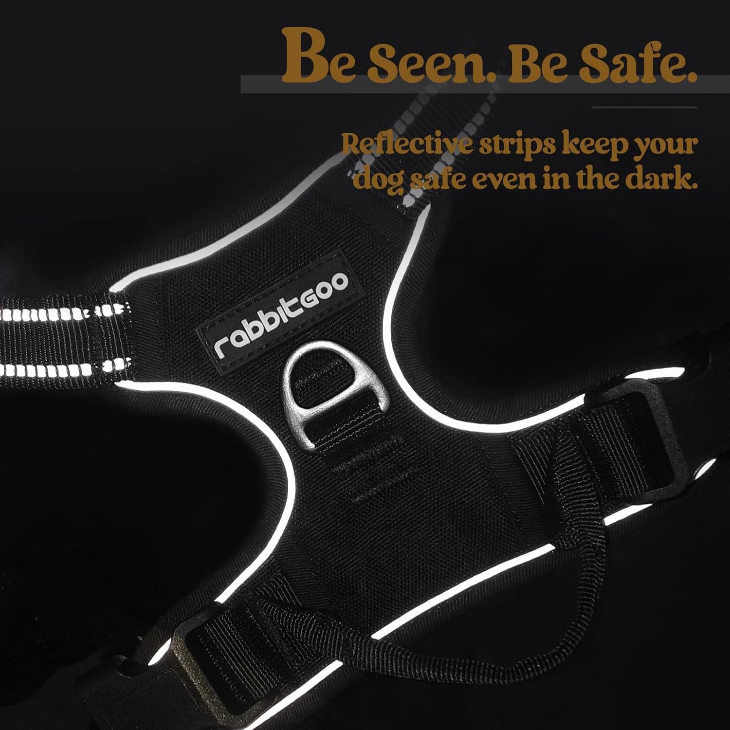 Dog Harness No Pull with 2 Leash Clips, Adjustable Soft Padded, Reflective Oxford No Choke Pet Vest with Easy Control Handle for Small Dogs, Black, S