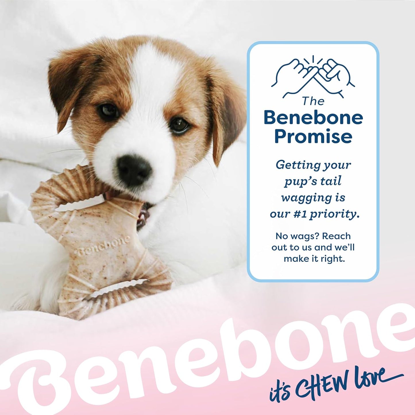 Puppy 2-Pack Dental Chew/Wishbone Dog Chew Toys, Made in USA, Real Bacon Flavor