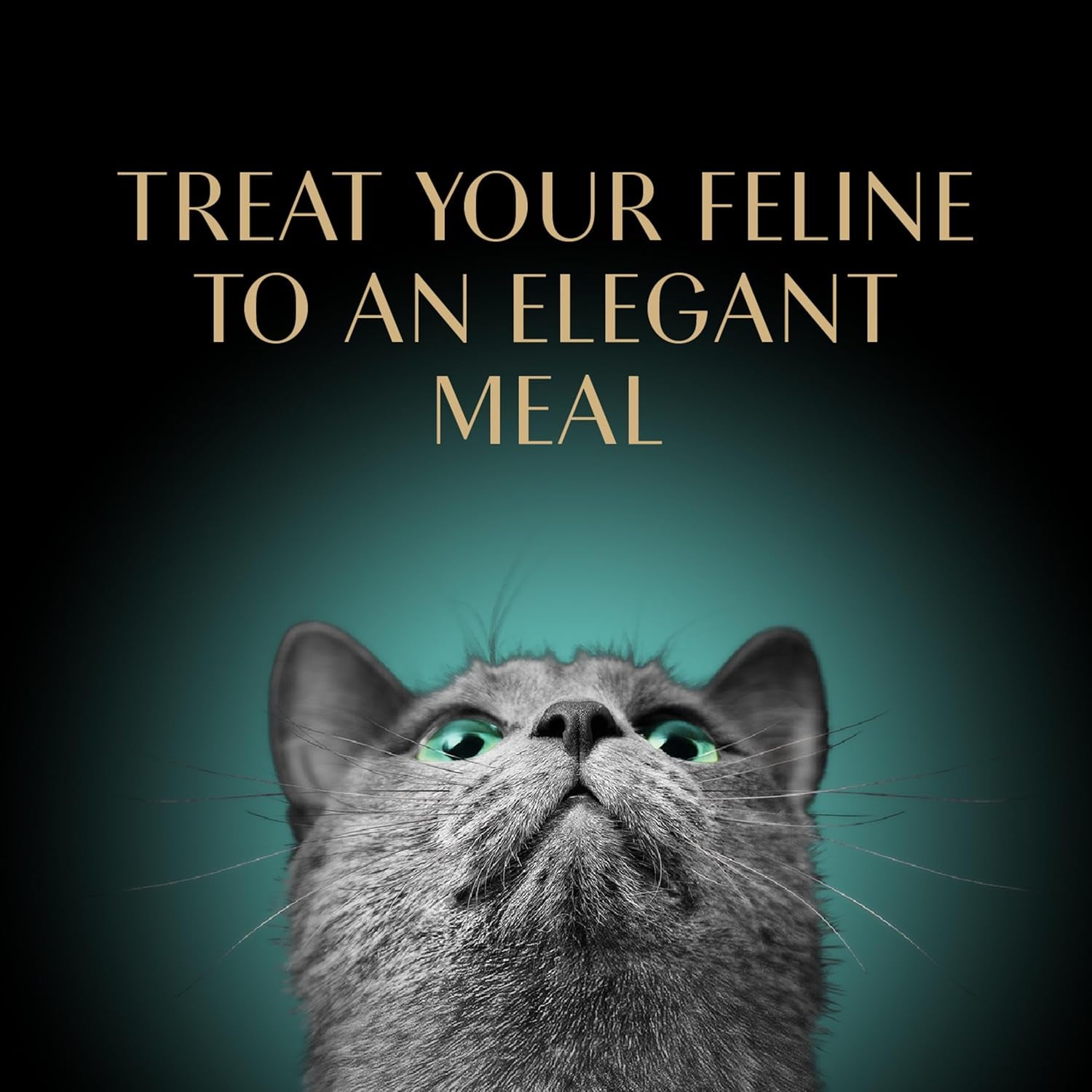 Perfect Portions Wet Cat Food Pate with Sustainable Salmon, 2.6 Oz. Twin-Pack Trays (24 Count, 48 Servings)