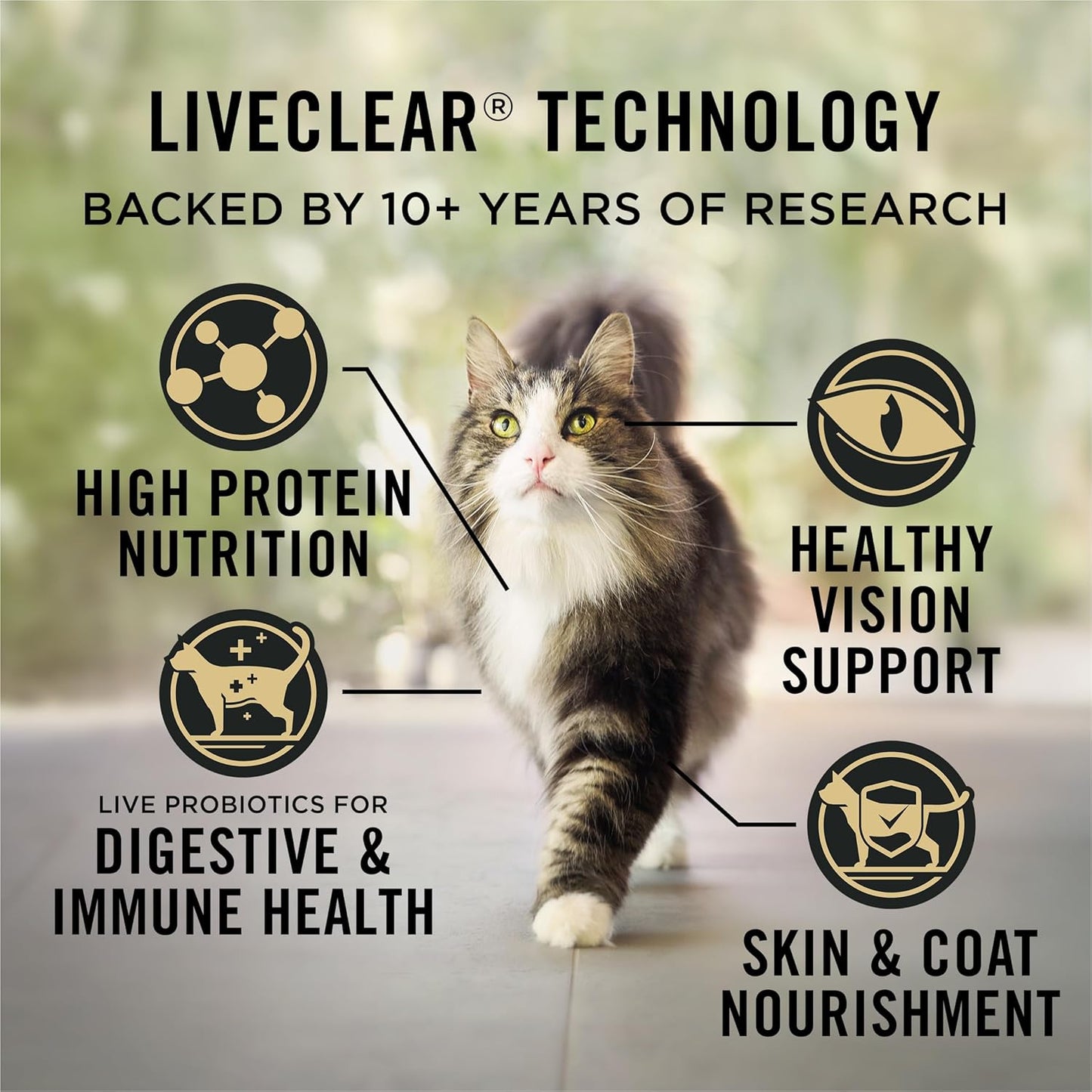 Liveclear Cat Allergen Reducing Adult Dry Cat Food with Salmon and Rice