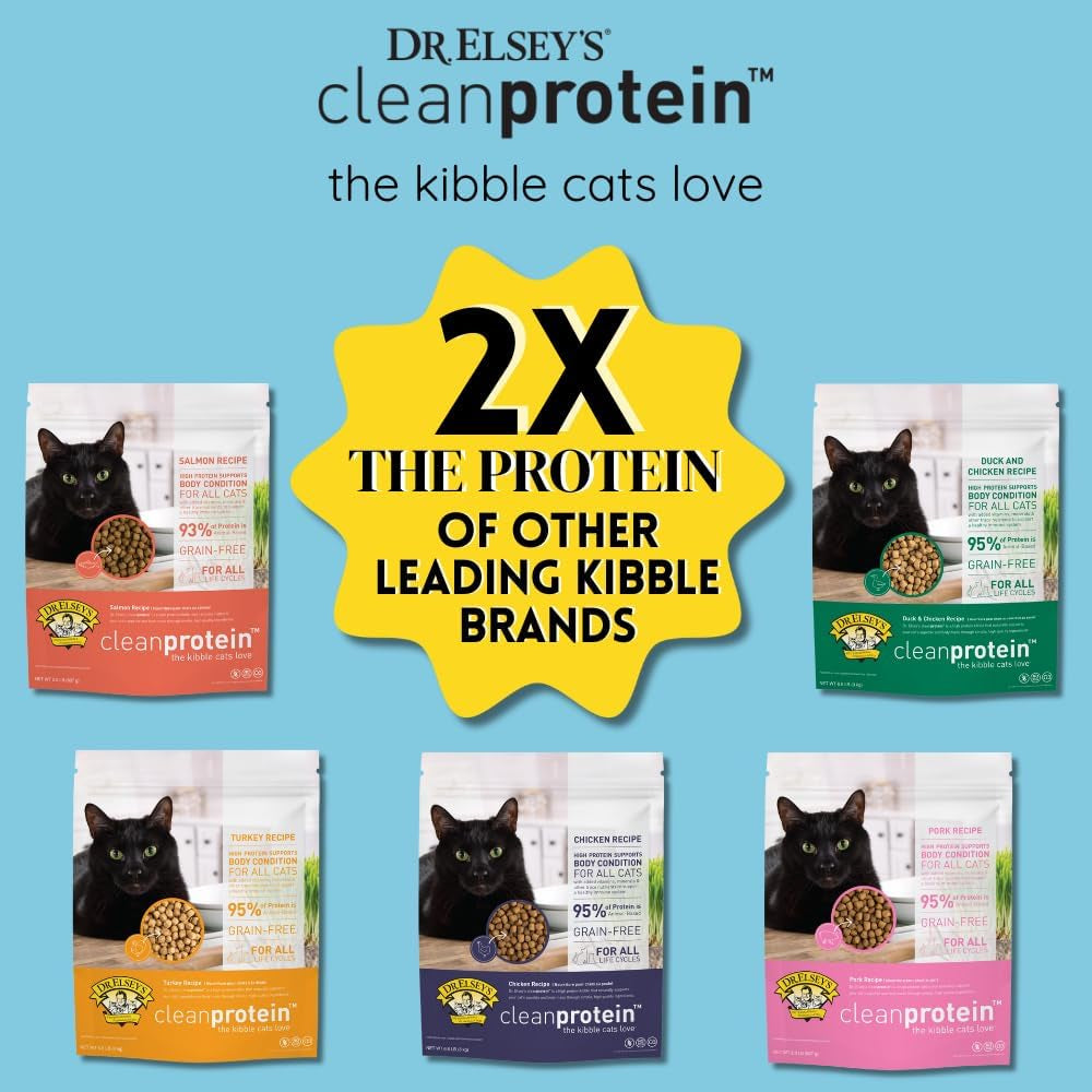 Cleanprotein Chicken Cat Kibble 6.6 Lb. Bag