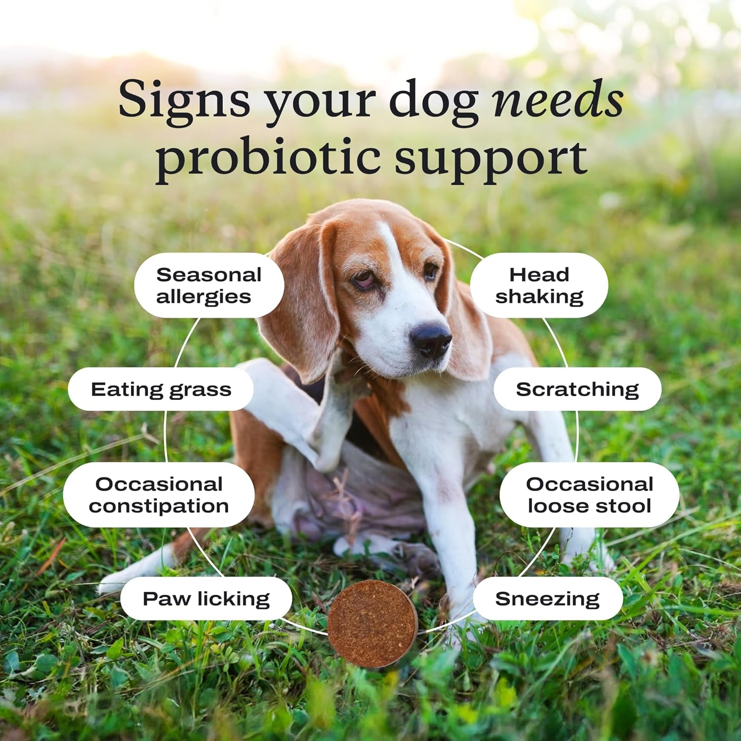 Probiotics for Dogs, Support Gut Health, Occasional Diarrhea, Digestive Health & Seasonal Allergies - Pork Flavor - 30 Soft Chews - Packaging May Vary (Value 2-Pack)