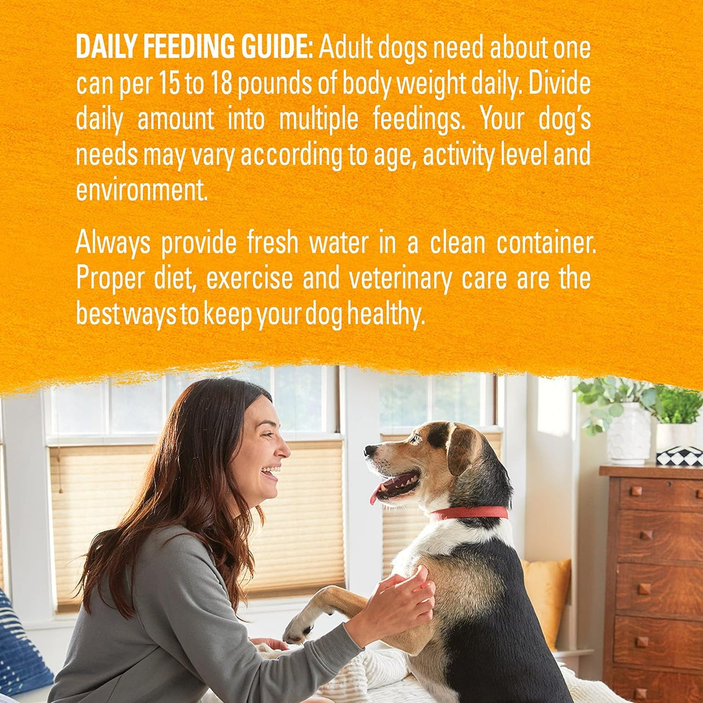 Chicken, Carrot and Pea Ground Grain Free Wet Dog Food Natural Pate with Added Vitamins and Minerals - (Pack of 12) 13 Oz. Cans