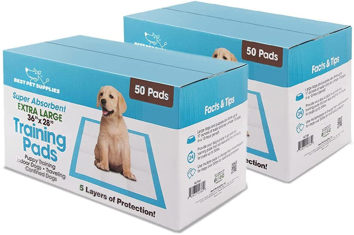 XL Puppy Pads 100 Count - Super Absorbent Dog Training Pads, Quick-Dry, Odor Control, Disposable Pee Pads, Leak-Proof Wee Wee Pads for Indoor Dogs – Baby Blue XL, 100 Pack