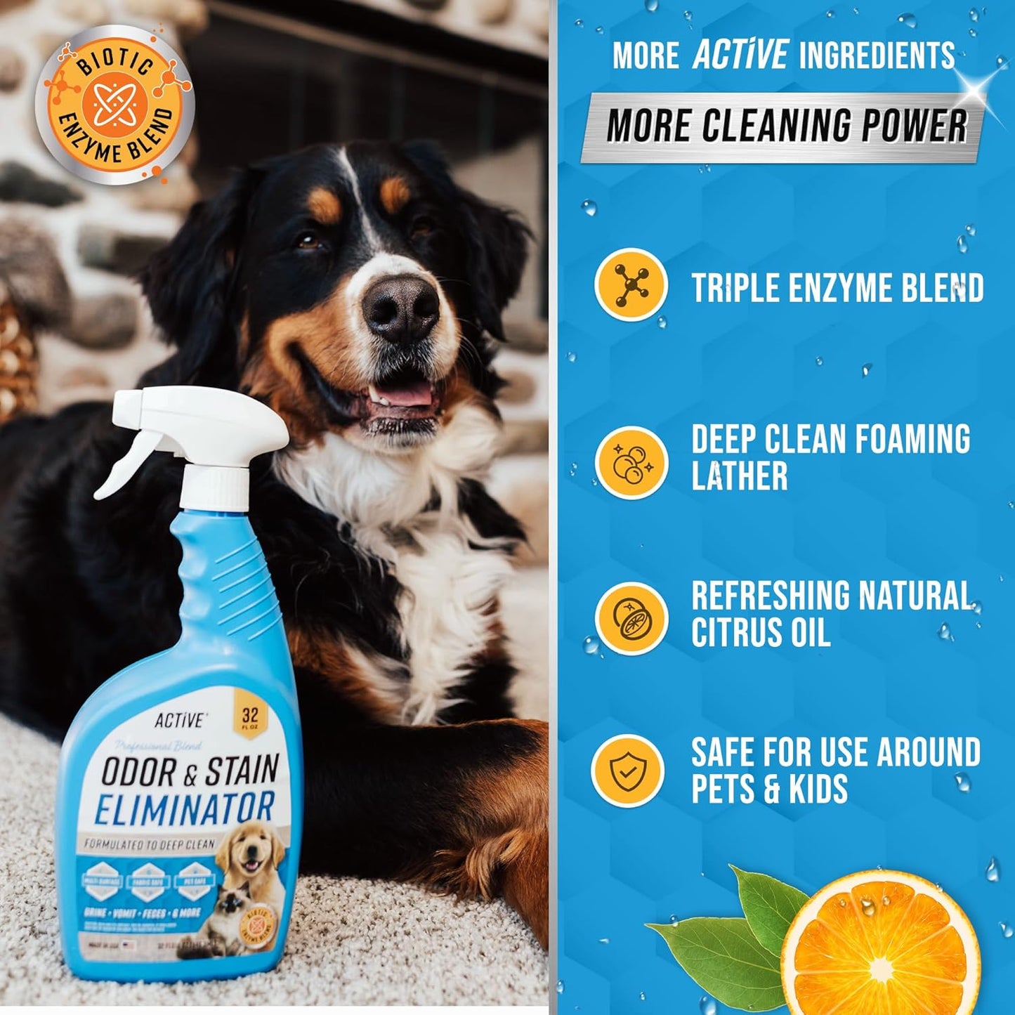 Pet Odor and Stain Eliminator - 32 Oz  Enzyme Cleaner for Dog & Cat Urine, Stain Remover Spray for Carpet, Upholstery, Hardwood, Spot Cleaning, Deodorizer for Dogs Cats Pets - Natural Citrus Oil