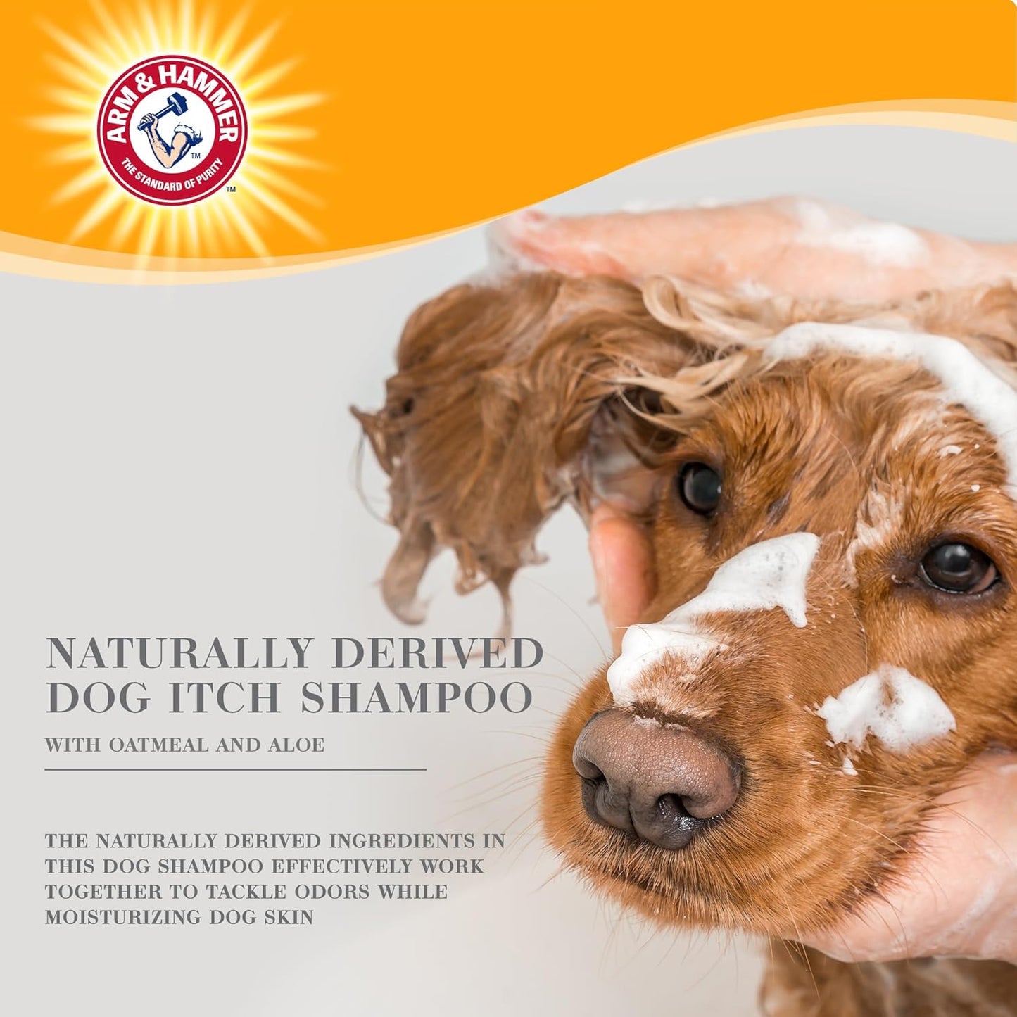 for Pets Ultra Fresh Itch Relief Shampoo with Oatmeal & Aloe Value Size with Pump 24Oz | Great Smelling Dog Grooming Supplies, Bathing Supplies, Wash, Puppy Shampoo, Pet Shampoo