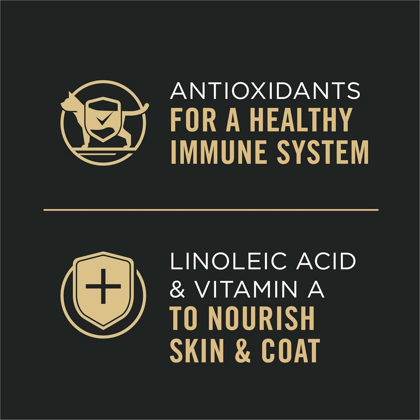 Complete Essentials High Protein Cat Food Gravy, Wet Cat Food Chicken Entree - (Pack of 24) 5.5 Oz. Cans