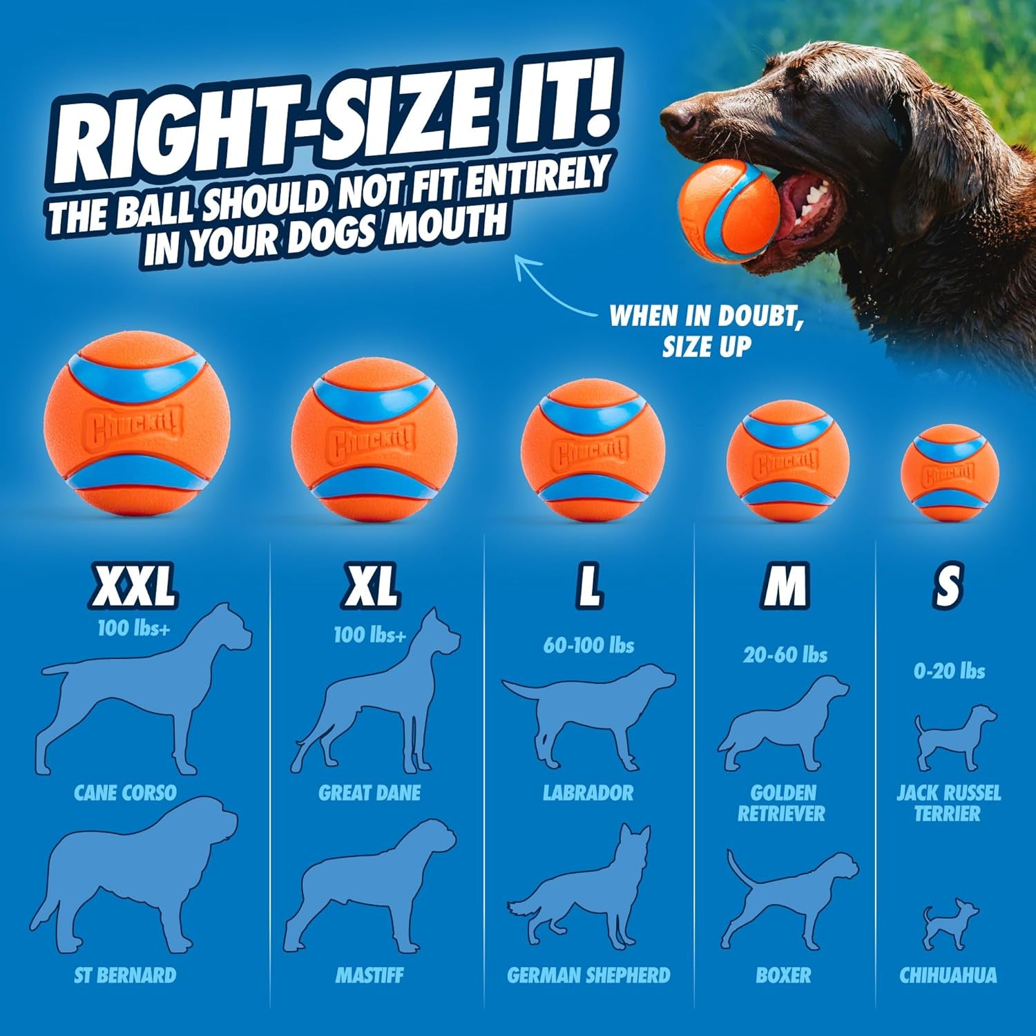 Ultra Ball Dog Toy with  Cleaning Bucket Bundle, Bouncy Fetch Pet Toys for Dogs 20-60 Lbs, Interactive Dog Toys, Durable Rubber, Size Medium, 2.5-Inch Diameter, 8-Pack of Balls