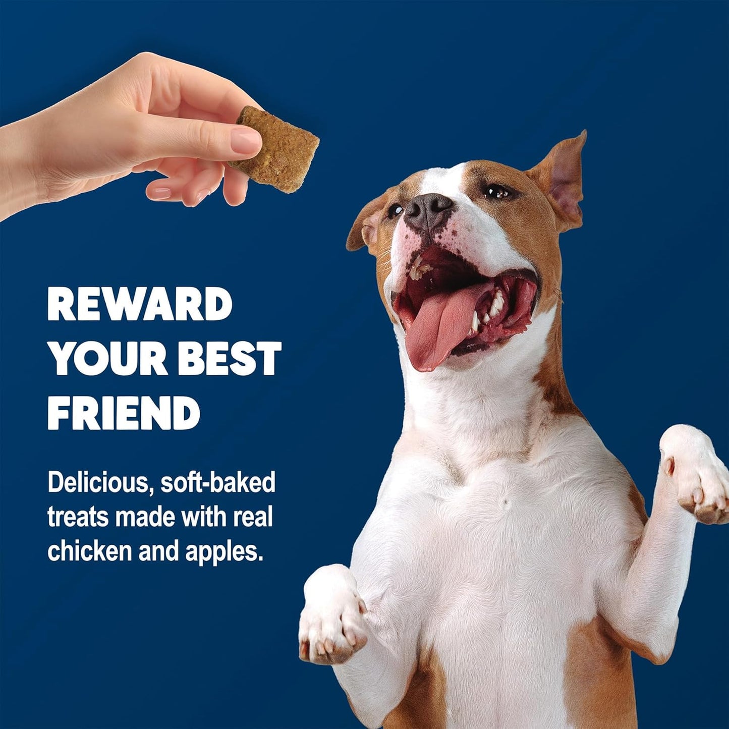 Benebars Digestive Support Dog Treats with Prebiotic Fiber, Made with Natural Ingredients, USA Chicken & Apple, 9-Oz Bag