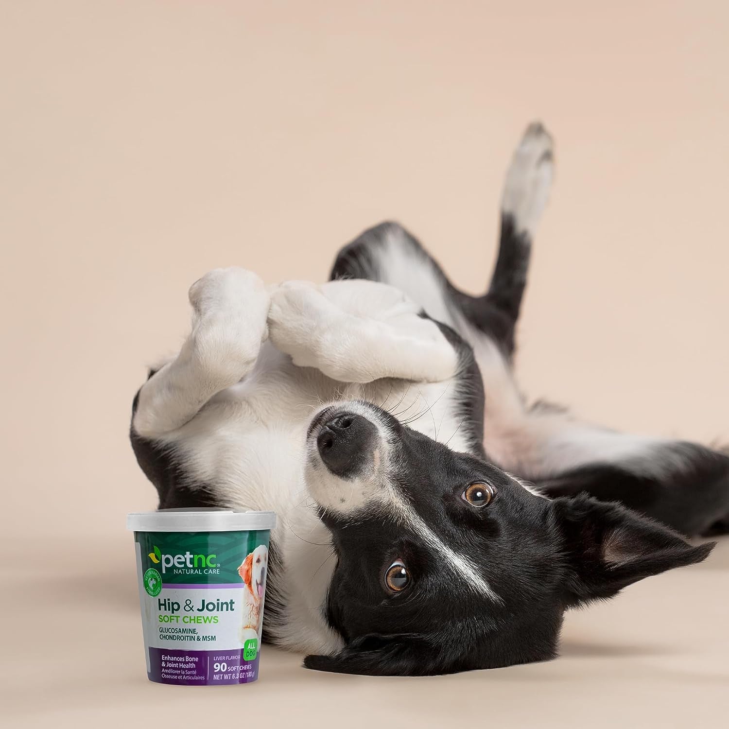 Hip & Joint Health Supplement for Dogs (90 Chews), Glucosamine Chondroitin MSM Dog Chews with Hyaluronic Acid, Liver Flavored Bone & Joint Support Supplement, for All Breeds