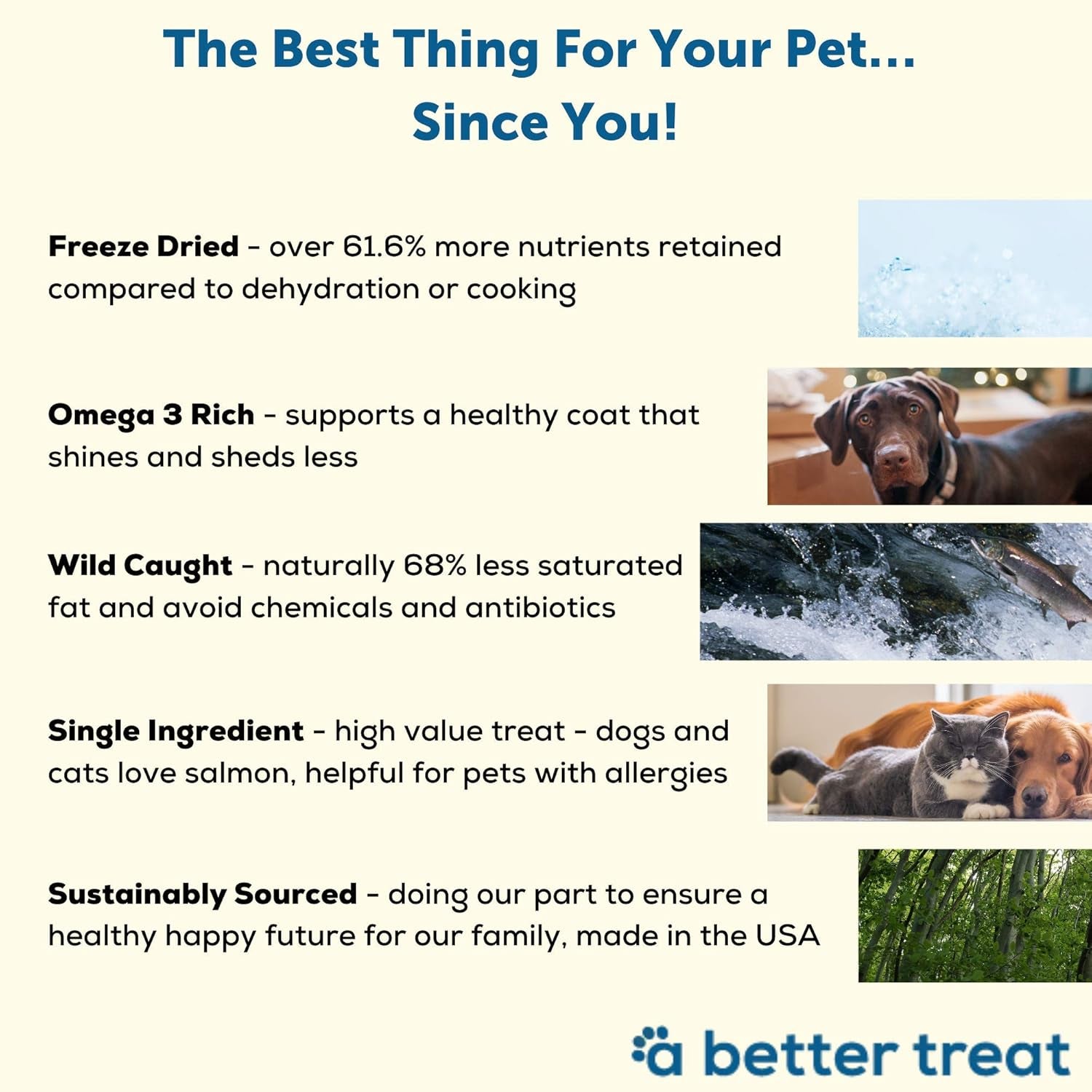 – Freeze Dried Salmon Dog Treats, Wild Caught, Single Ingredient | Natural High Value | Gluten Free, Grain Free, High Protein, Diabetic Friendly | Natural Fish Oil | Made in the USA