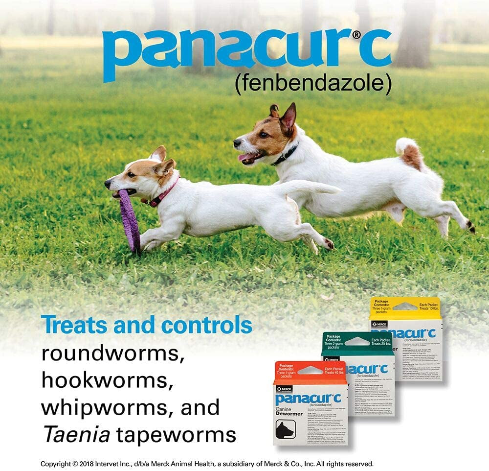 C Canine Dewormer (Fenbendazole), 1 Gram, Yellow, 3 Count (Pack of 1)