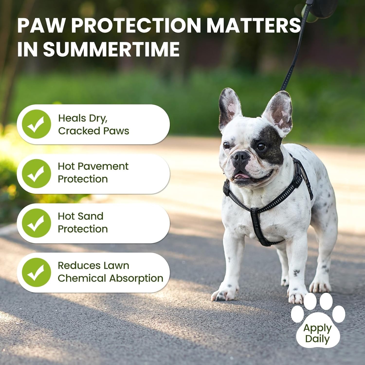 Lick-Safe Dog Paw & Nose Balm with Coconut Oil | All-Natural Moisturizer & Soother for Dry, Cracked Pads & Snout| Cat Wax & Cream, Nose Butter for Frenchies| Horse Hoof Care (60 G /2.1 Oz)
